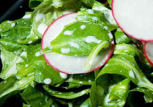 Photo of Lamb's Lettuce with Dressing