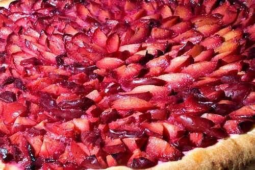 Photo of Sourdough Plum Cake 