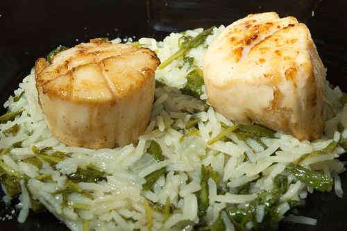 Photo of Scallops on Arugula, Watercress and Basmati Risotto