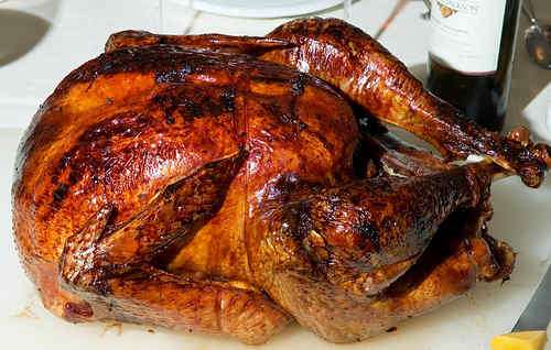 Photo of Thanksgiving Turkey